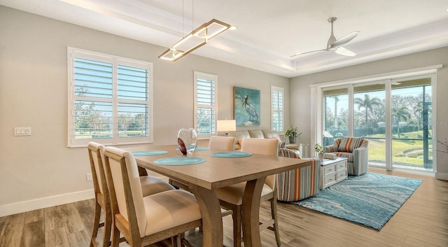 dining space with a tray ceiling, ceiling fan, and light hardwood / wood-style floors