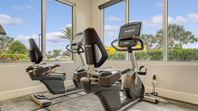 exercise room featuring baseboards and a healthy amount of sunlight