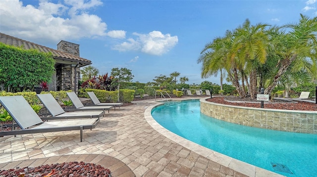 view of pool featuring a patio area