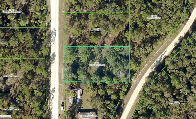 Chimney Swift Rd, Brooksville FL, 34614 land for sale