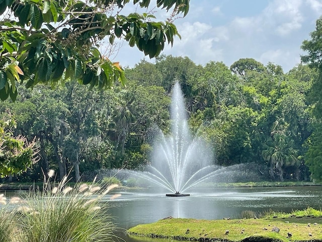 view of home's community featuring a water view