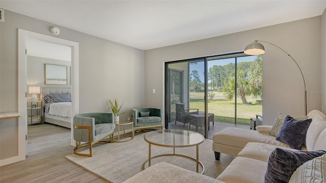 living room featuring light hardwood / wood-style floors