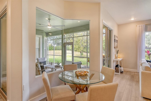 dining room with light hardwood / wood-style floors and ceiling fan