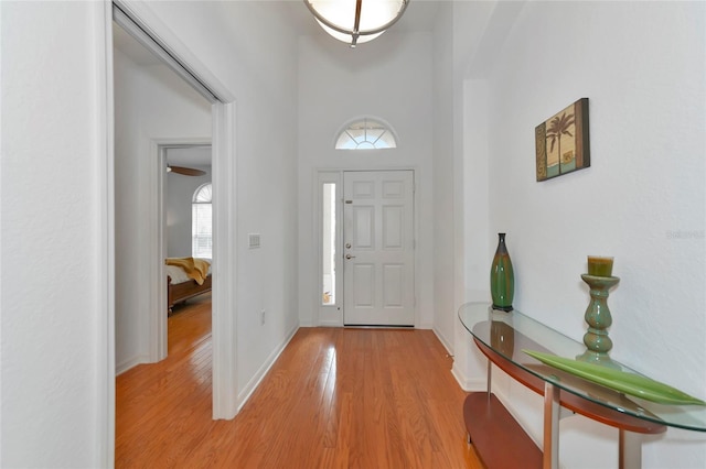 foyer entrance with a high ceiling, light hardwood / wood-style flooring, and a healthy amount of sunlight