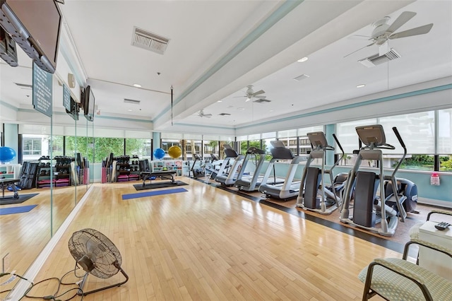 workout area featuring a healthy amount of sunlight, ceiling fan, and wood-type flooring