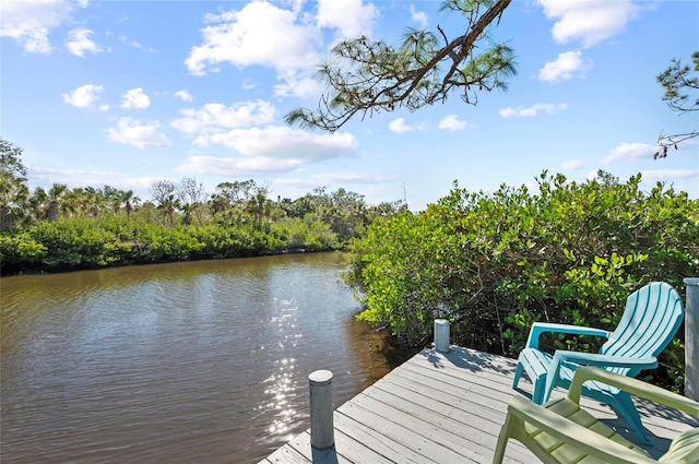 dock area with a water view