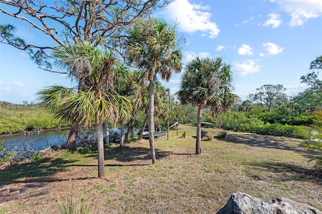 view of yard with a water view