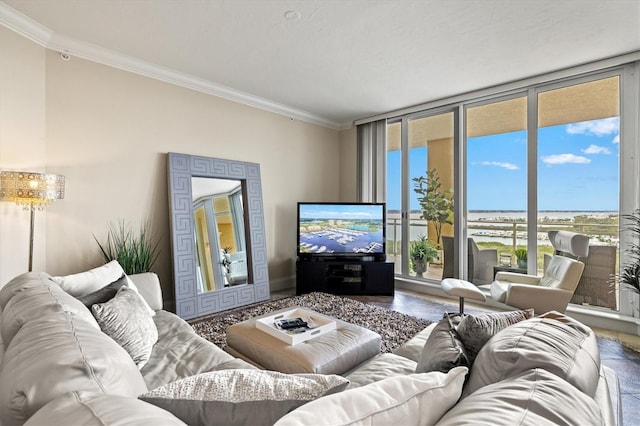 living room with floor to ceiling windows and crown molding