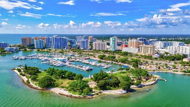 bird's eye view featuring a view of city and a water view