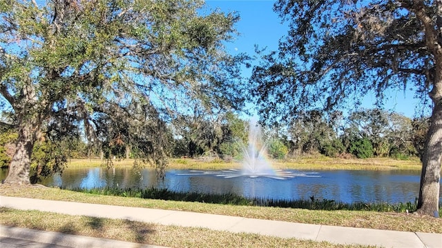 view of water feature