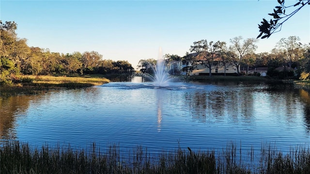 view of water feature