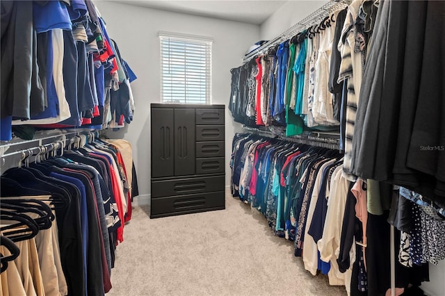 walk in closet featuring light carpet