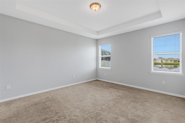 carpeted spare room with a raised ceiling