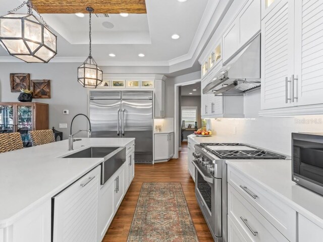 kitchen featuring white cabinets, a raised ceiling, high end appliances, and sink