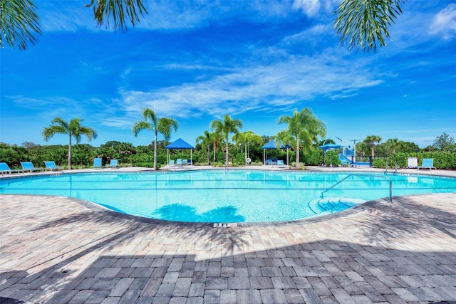 view of pool with a patio area