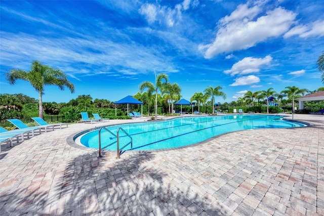 view of pool with a patio area