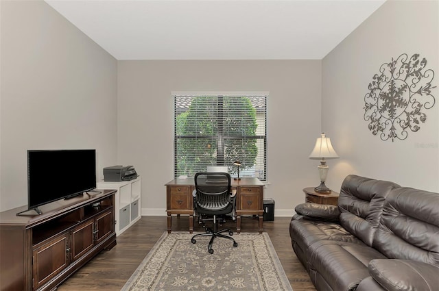 office with wood-type flooring