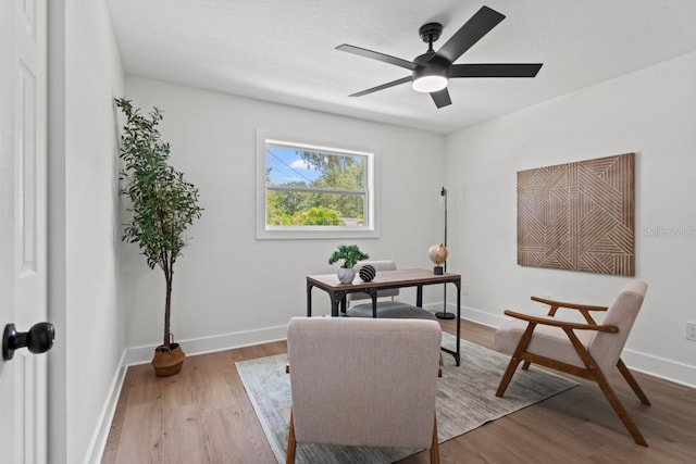 office with ceiling fan and light hardwood / wood-style flooring