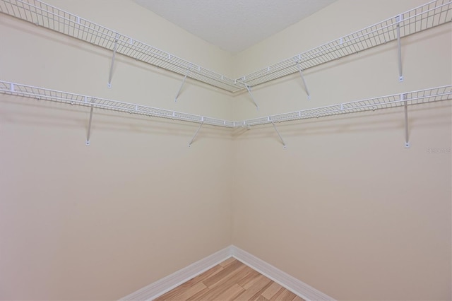 spacious closet featuring hardwood / wood-style floors