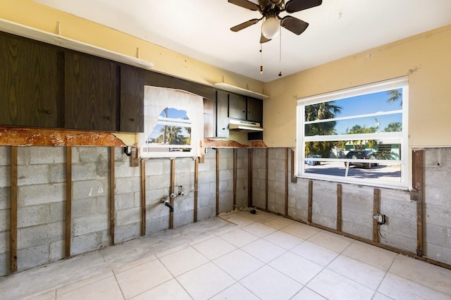 interior space with dark brown cabinets, ceiling fan, and plenty of natural light