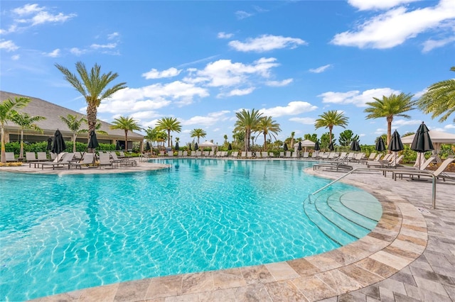 view of swimming pool with a patio area