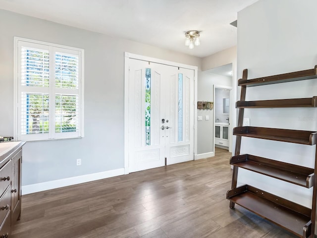 foyer entrance featuring wood-type flooring