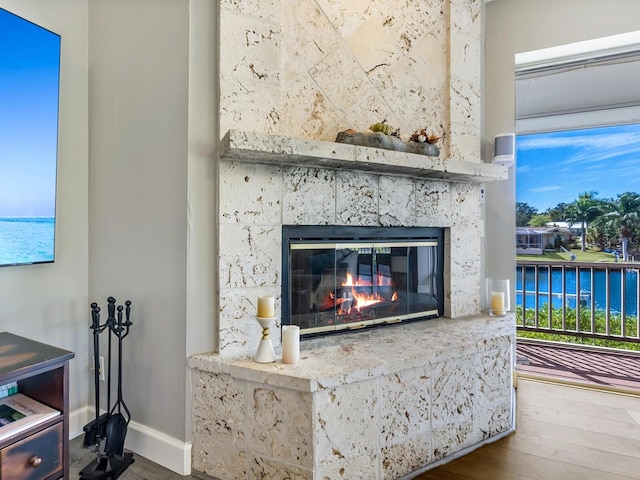 details featuring a high end fireplace and hardwood / wood-style flooring