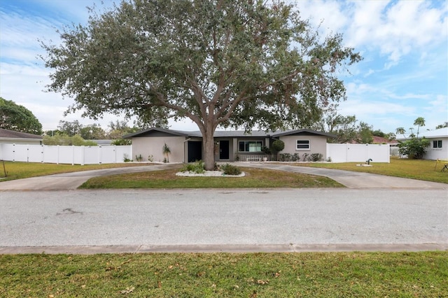 ranch-style house featuring a front yard