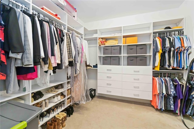 spacious closet featuring light carpet