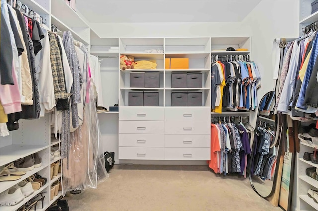 view of spacious closet