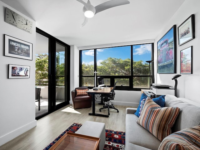 office with ceiling fan and light hardwood / wood-style flooring