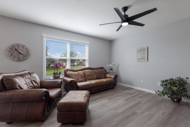 living room with ceiling fan and light hardwood / wood-style floors