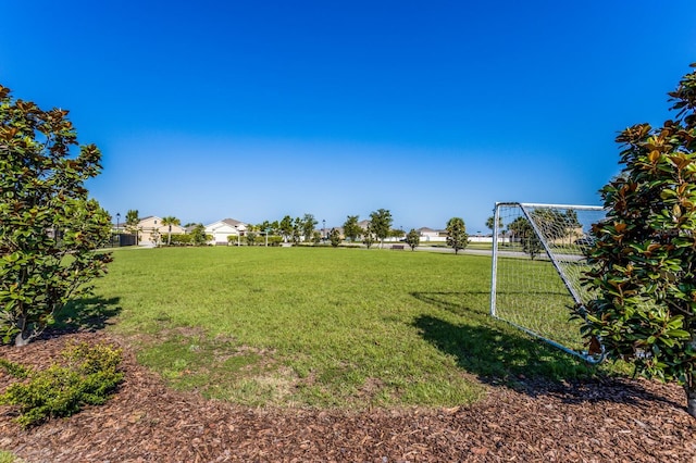 15404 Trinity Fall Way, Bradenton, FL 34212 - view of yard featuring an area for soccer
