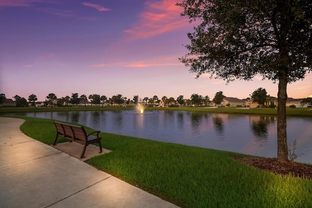 15404 Trinity Fall Way, Bradenton, FL 34212 - water view