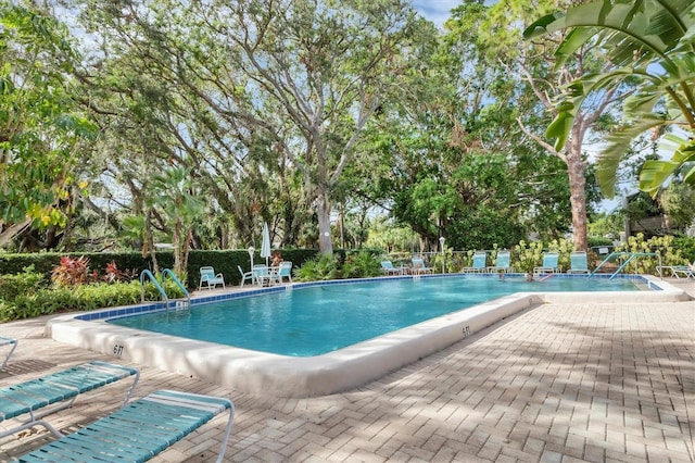 view of pool featuring a patio area