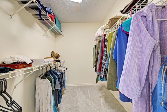 spacious closet with carpet flooring