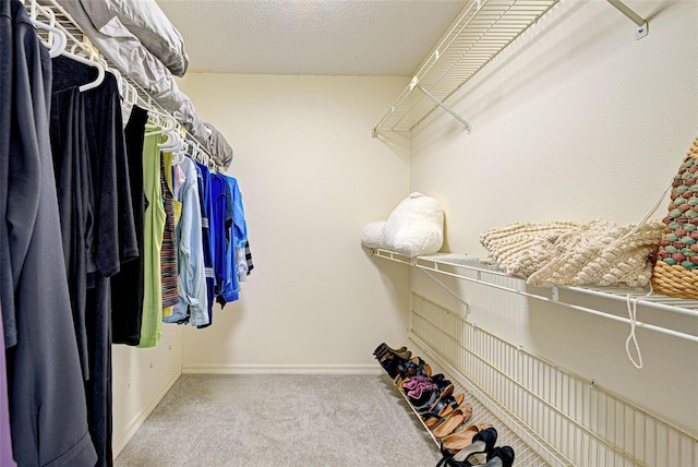 walk in closet with light carpet