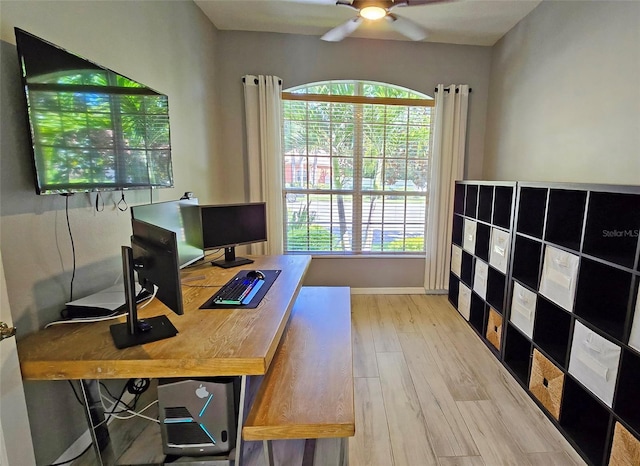 office featuring ceiling fan, plenty of natural light, and light hardwood / wood-style flooring