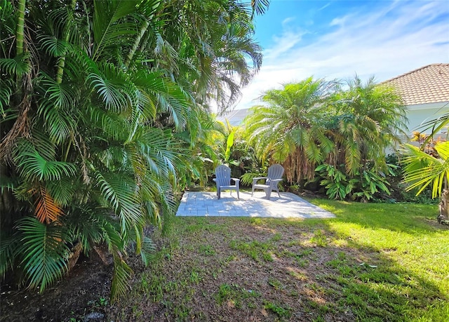 view of yard with a patio