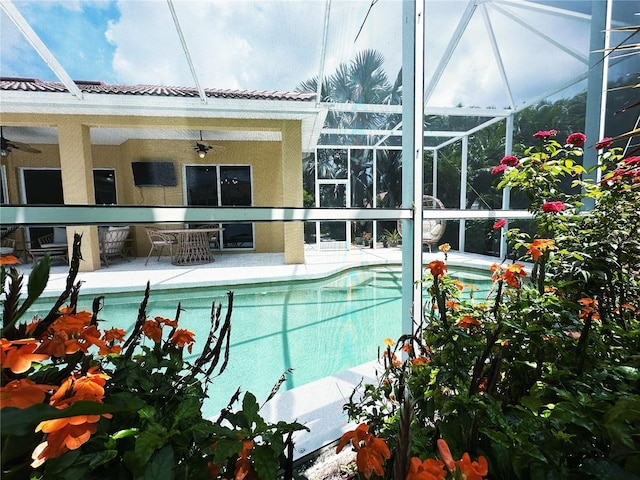 view of pool featuring a patio, ceiling fan, and glass enclosure