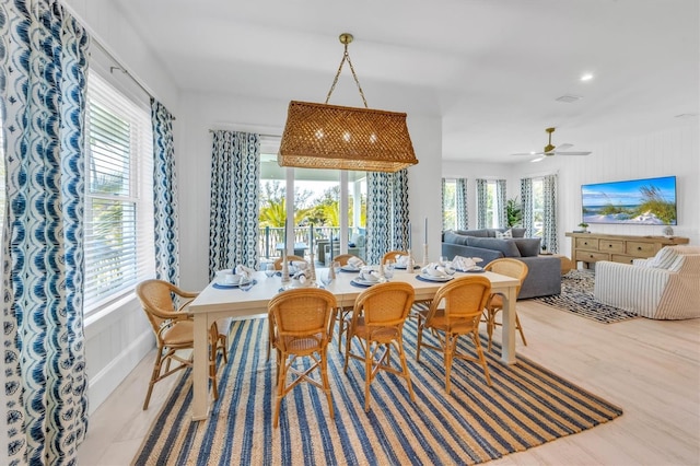 dining space with a wealth of natural light, ceiling fan, and light wood-type flooring