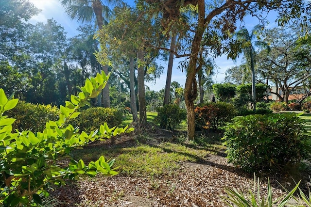 view of landscape