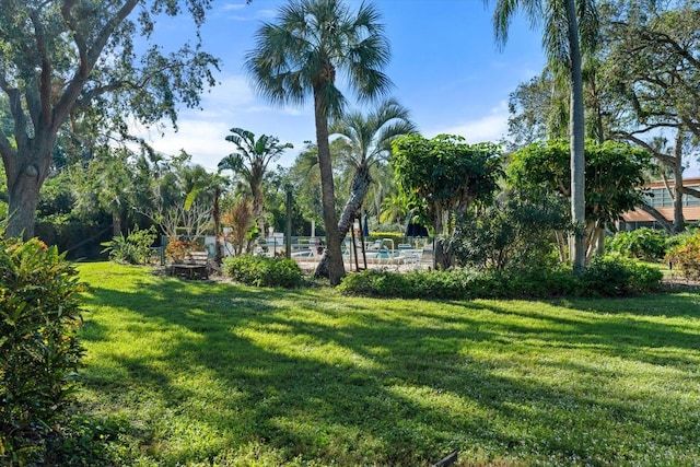 view of community with a lawn