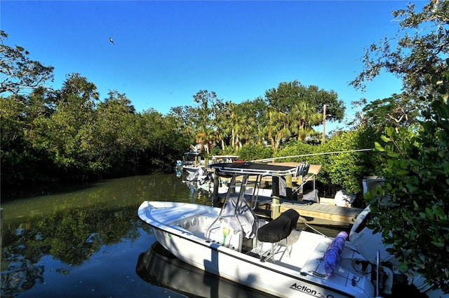 dock area featuring a water view