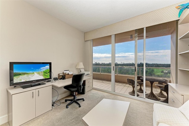 view of carpeted office space