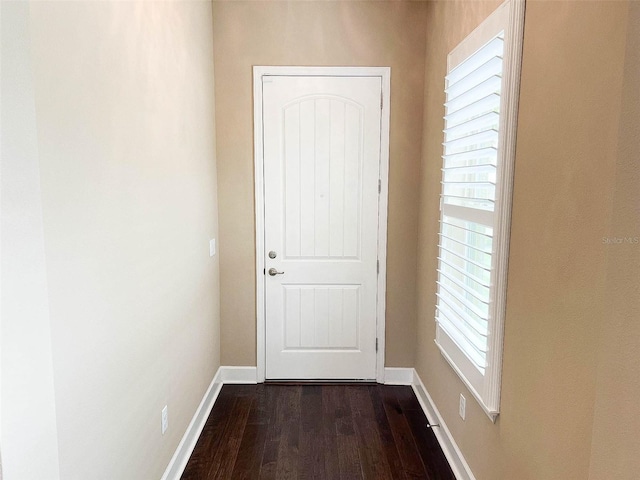 entryway featuring dark wood-type flooring