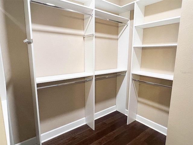 walk in closet with dark wood-type flooring