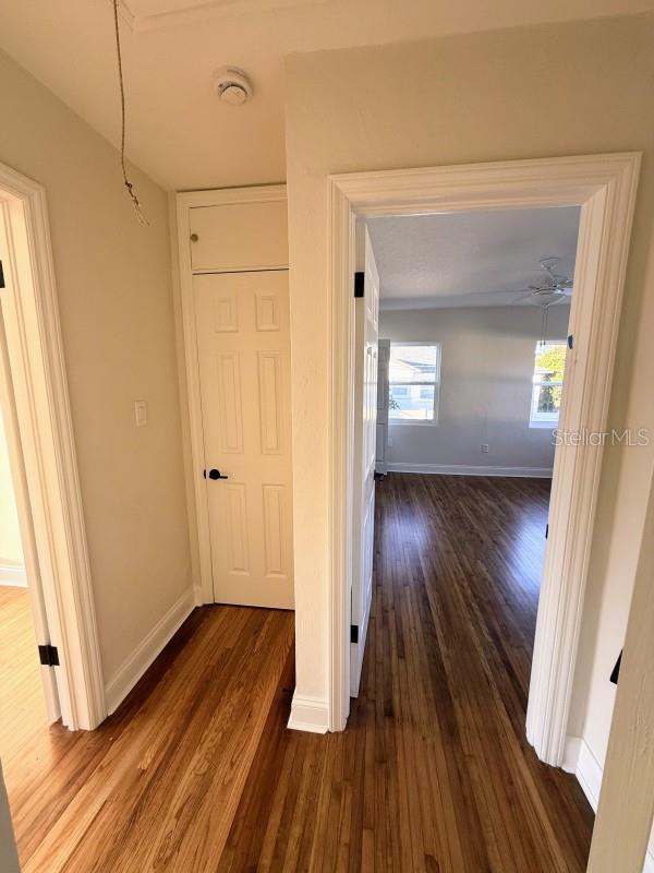 corridor with dark hardwood / wood-style flooring