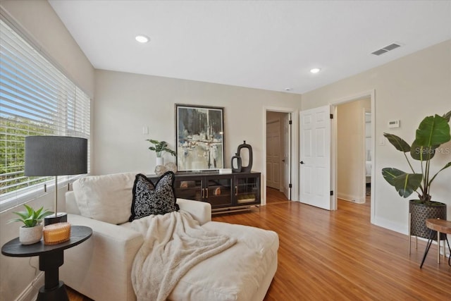 living room featuring wood-type flooring