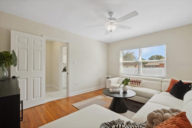 living room featuring ceiling fan and light hardwood / wood-style flooring